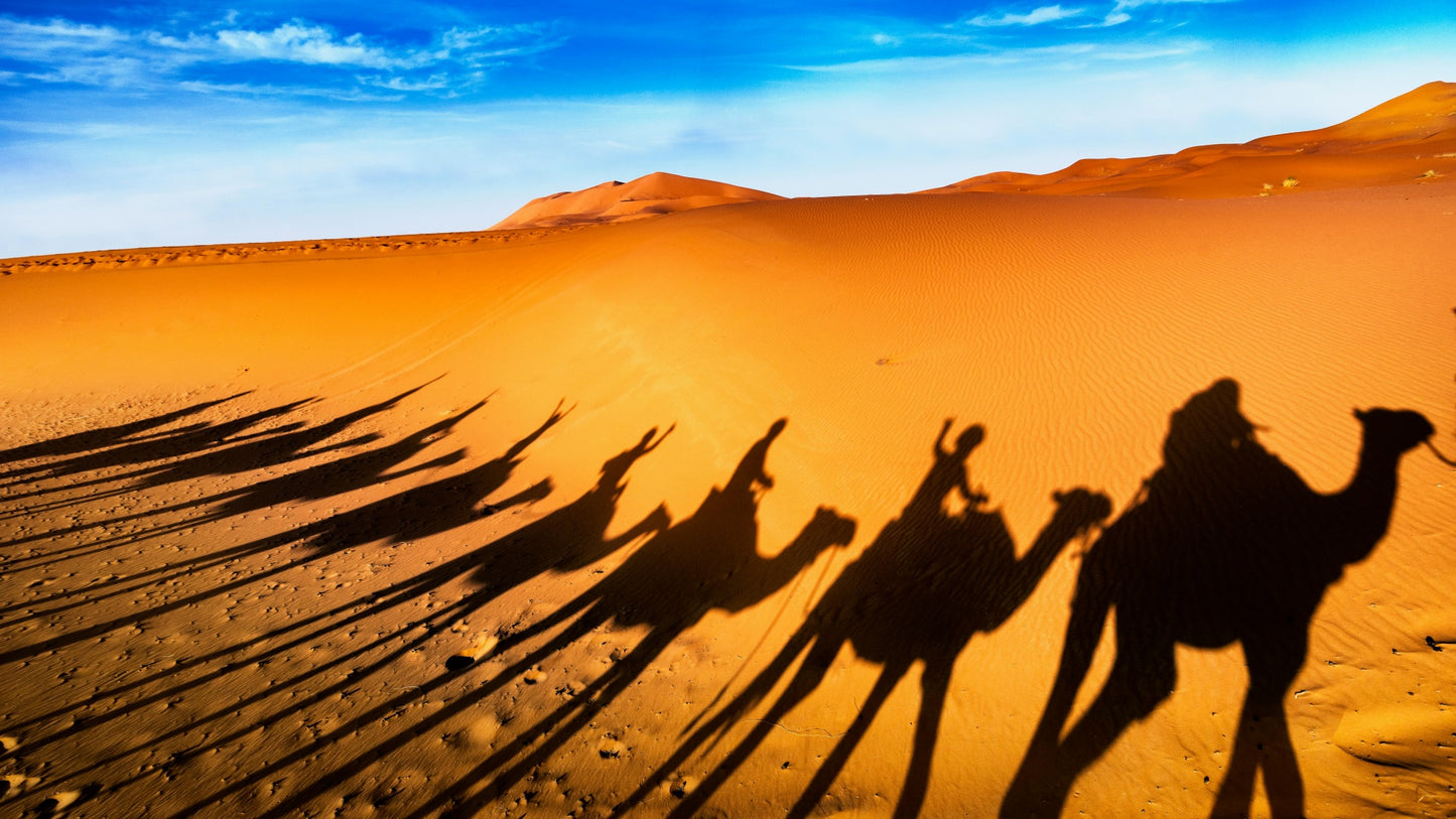 [Driving Tour] Silk Road 12 Days
